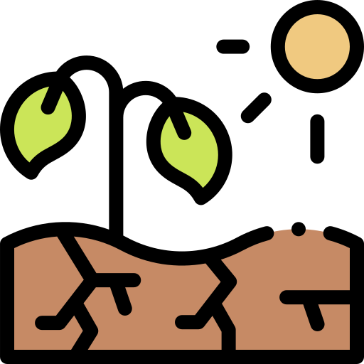 kuru